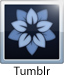 tumblr HCI Blog